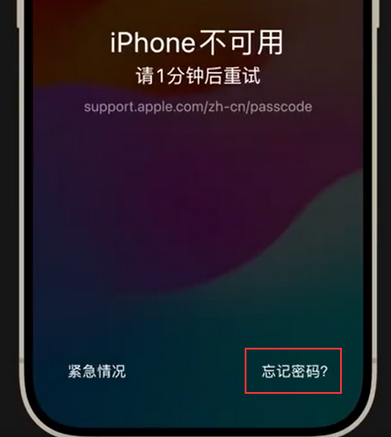 王五镇苹果手机密码维修分享iPhone忘记了刚设置的密码 