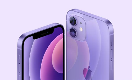 王五镇苹果手机维修分享紫色版iPhone 12有什么技术亮点 
